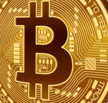 Bitcoin Faces 50 Percent Surge or Collapse as Capriole CEO Warns Quantum Upgrade Decision Could Make or Break the Market
