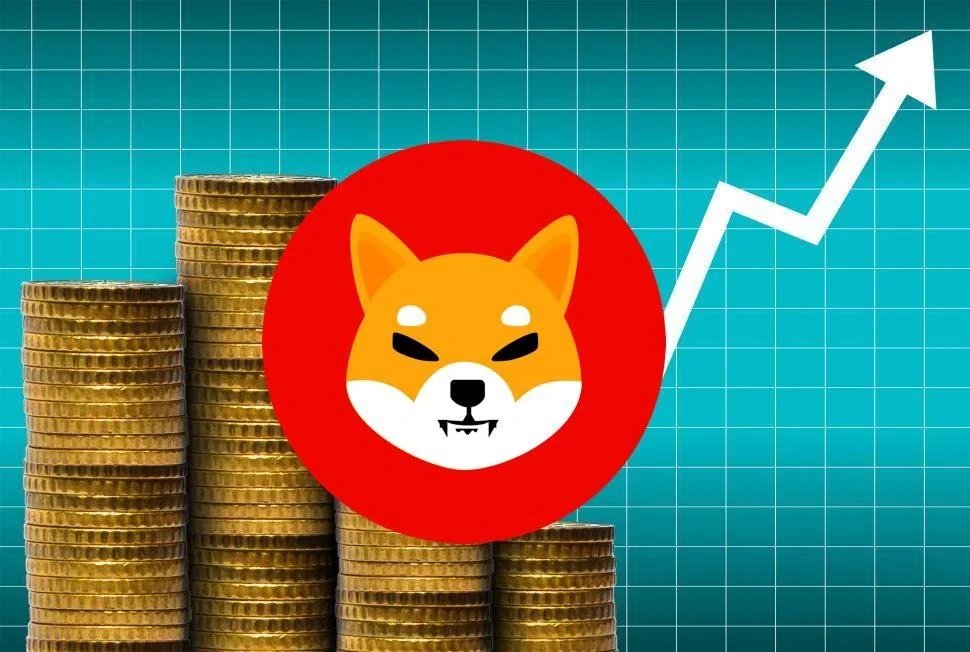 Shiba Inu, Dogecoin, XRP and Binance Coin Price Analysis for Oct. 24: Can SHIB, DOGE, XRP and BNB Hold Their Bullish Momentum or Face a Sharp Reversal?